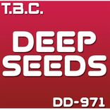Portada para "Deep Seeds (Tony Nova Remix)"
