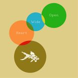 Artwork voor "Heart Wide Open"