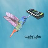 Artwork for "Washed Ashore"