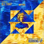 Artwork for "All That / Burning Up"