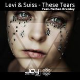 Artwork for "These Tears feat. Nathan Brumley"