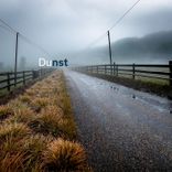 Artwork for "Dunst"