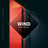 Artwork for "Wind"
