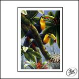 Artwork for "About Disco Collection Vol. 3"