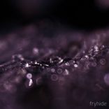 Artwork for "Stitch / Obsidian Wire"