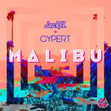 Portada para "Malibu"