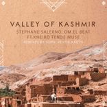 Artwork for "Valley of Kashmir"