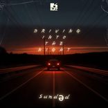 Artwork für "Driving Into The Night"