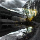 Artwork für "nothing to"