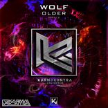 Artwork voor "Older"