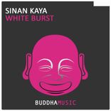 Artwork for "White Burst"