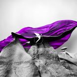 Artwork for "Reflections"