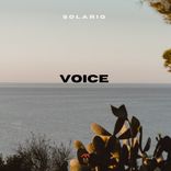 Voice