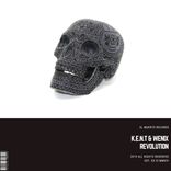 Artwork for "Revolution"