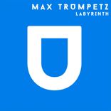 Portada para "Labyrinth"