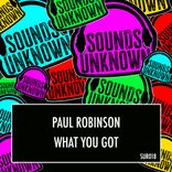 Artwork for "What You Got"