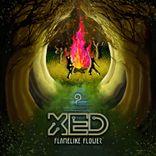 Ritual of the Flamelike Celosia