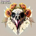 Artwork für "Genius"