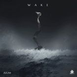 Artwork for "Wake"
