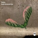 Artwork for "Small Instrumental Eyes"