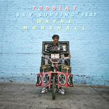 Portada para "Sky Surfing"