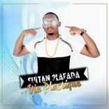 Artwork for "Vie Plastique"