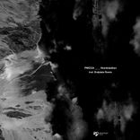 Portada para "Hominization"