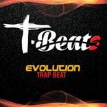 Artwork voor "Evolution"