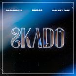 Artwork for "Skado"
