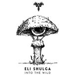 Artwork voor "Into the Wild"