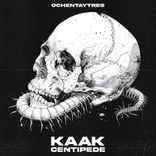 Portada para "Centipede"