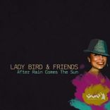 After Rain Comes the Sun