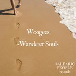Portada para "Wanderer Soul"