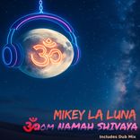 Artwork voor "Om Namah Shivaya"