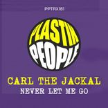 Artwork for "Never Let Me Go"