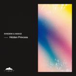 Artwork for "Hidden Princess"