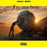 Artwork for "Try my best"