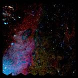 Portada para "Disown"