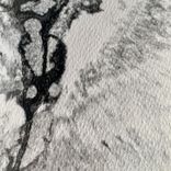 Artwork voor "Aberrations"