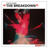 Artwork für "The Breakdown"