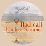 Artwork for "Endless Summer"