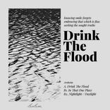 Artwork for "Drink The Flood"