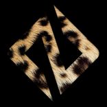 Artwork for "Zumbae"