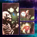 Artwork für "Won't Love Again"