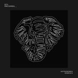 Artwork voor "Nemesis"