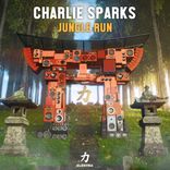 Artwork for "Jungle Run"