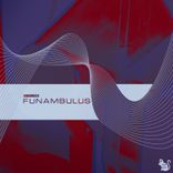 Artwork for "Funambulus"