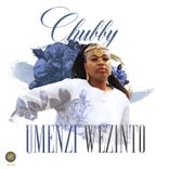 Artwork for "Umenzi Wezinto"