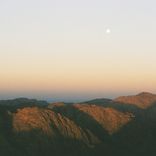 Artwork for "Afraid to Feel"