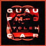 Artwork voor "Stolen Car"